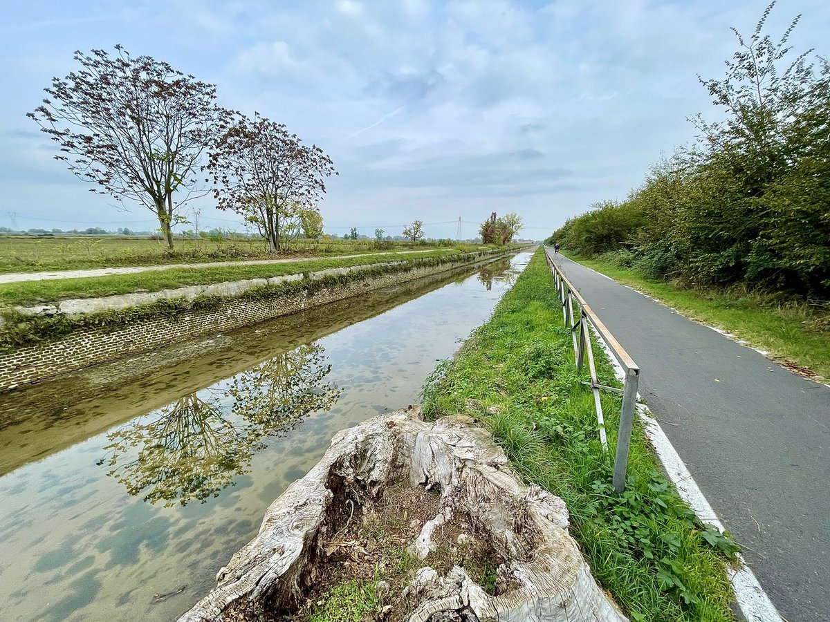 MaxMart4810's tweet photo. Naviglio pavese da Pavia a Milano #iocorroqui #todaysplayground #running #unpodipiano #navigliopavese #certosadipavia⛪️ #casarile #binasco #rozzano #assago #darsenamilano #pavia #milano #inaltotrail #inaltoteam https://t.co/et4BBNS0nh