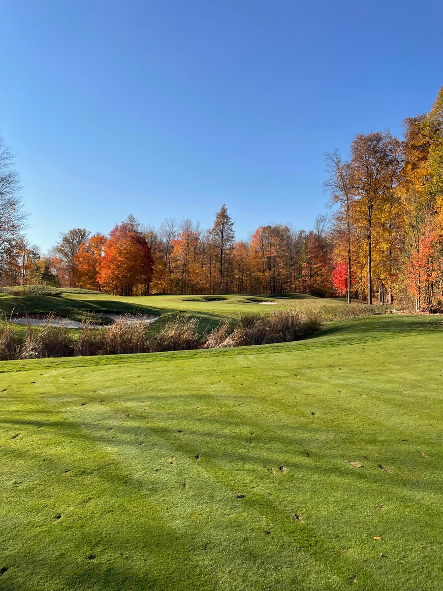 A perfect day for golf. 🍂