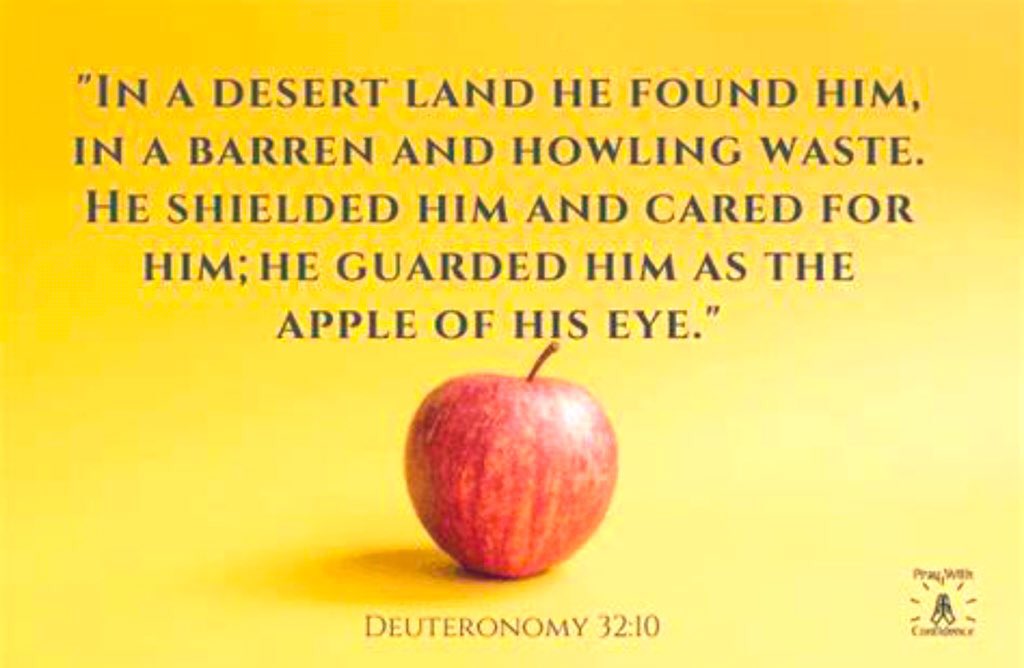 @TeruyoToikka @DavidLa32363139 @love_christly Amen sister Teruyo, God blessing you, you are treasures and the APPLE of His sight.