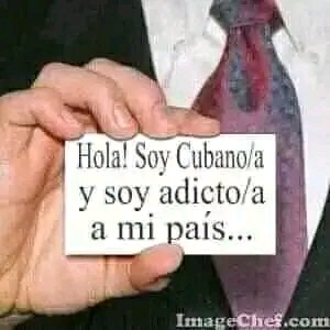 Miriam Sánchez Casas tweet media