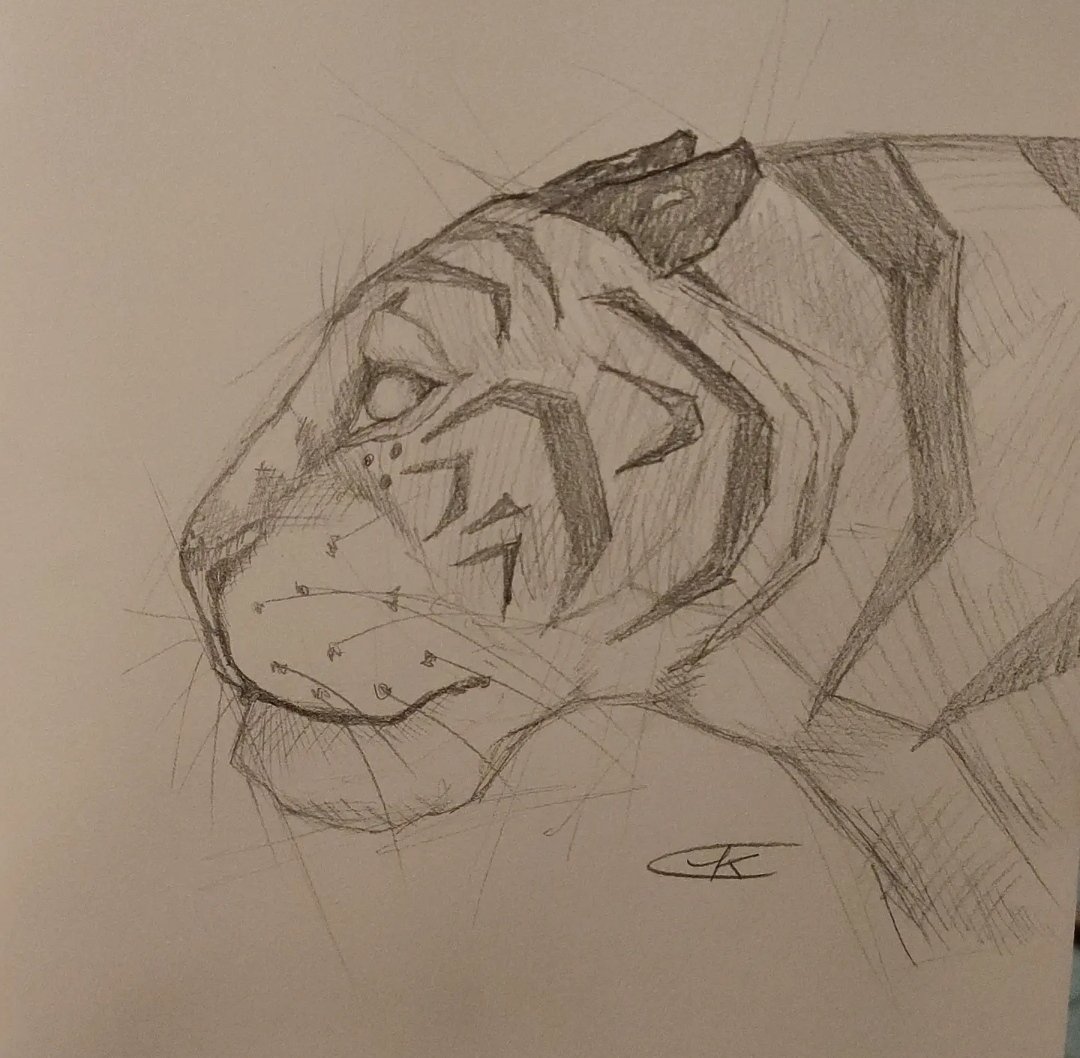 KimLouve's tweet photo. Le Tigre me fait souvent pensé à l'Asie alors j'en ai profité également pour entraîner ma technique de tram.
#pet #pets #animaux #animalofinstagram #miaou #vichy #Allier #sauvage #petsofinstagram #artistic #doglove #dogofinstagram #Tigers #Tiger #funnydog #artwork #Tigre https://t.co/HMSpFTKYT1