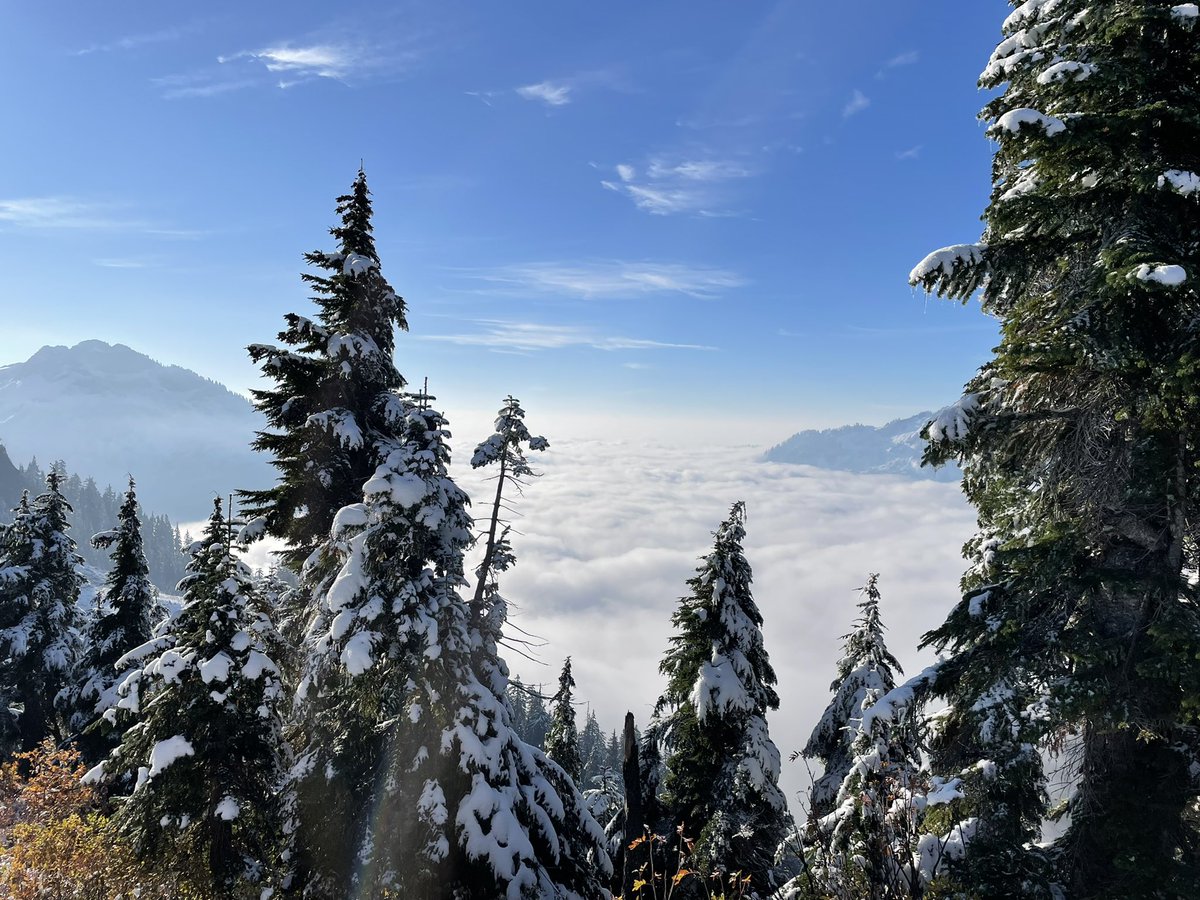 James Taylor tweet media