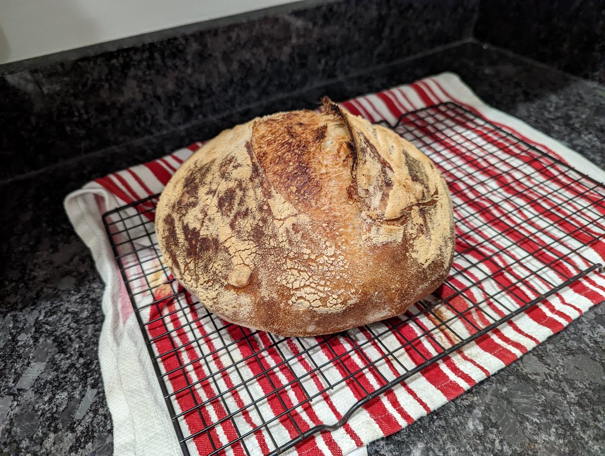 Bradley R tweet media