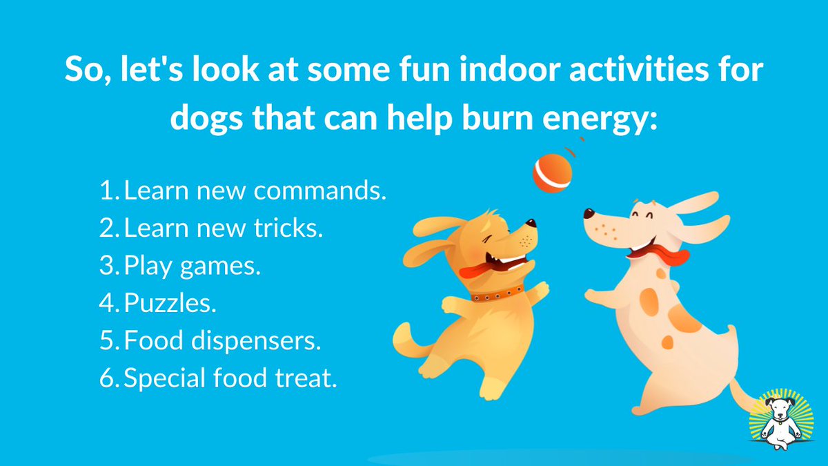 VisionaryPet's tweet photo. So, let's look at some fun indoor activities for dogs that can help burn energy:
#cutedogs #twittertrends #dogtravel #dogfacts #factsofdogs #trendswithdogs #doglove #dog #dogs #doglife #doglover #dogs #thingsdogslove #puppy #puppylove #chooseyourfav #love #trending #twitterdogs https://t.co/qATAmuOjDQ