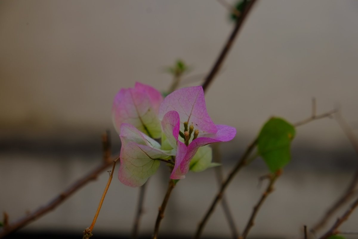 dyson (@superstringsdys) on Twitter photo 