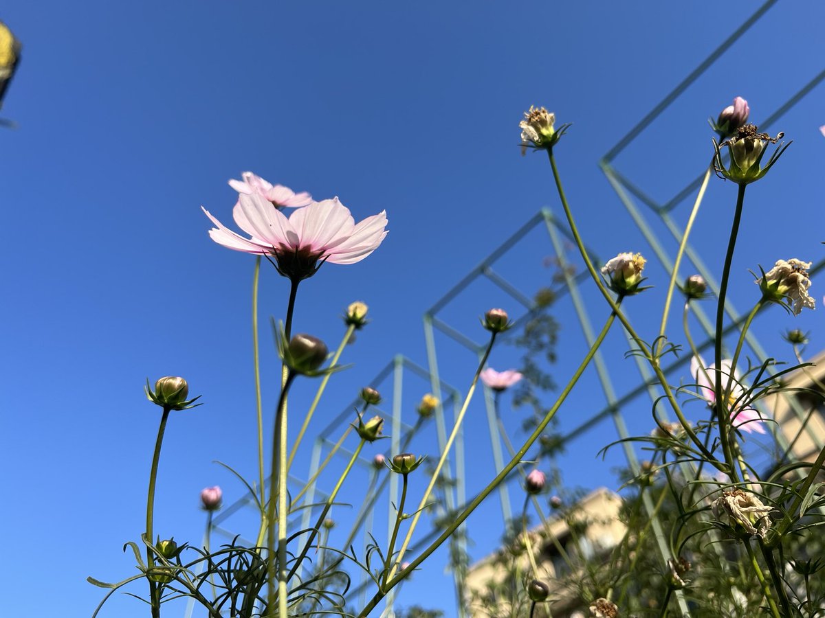 dyson (@superstringsdys) on Twitter photo 