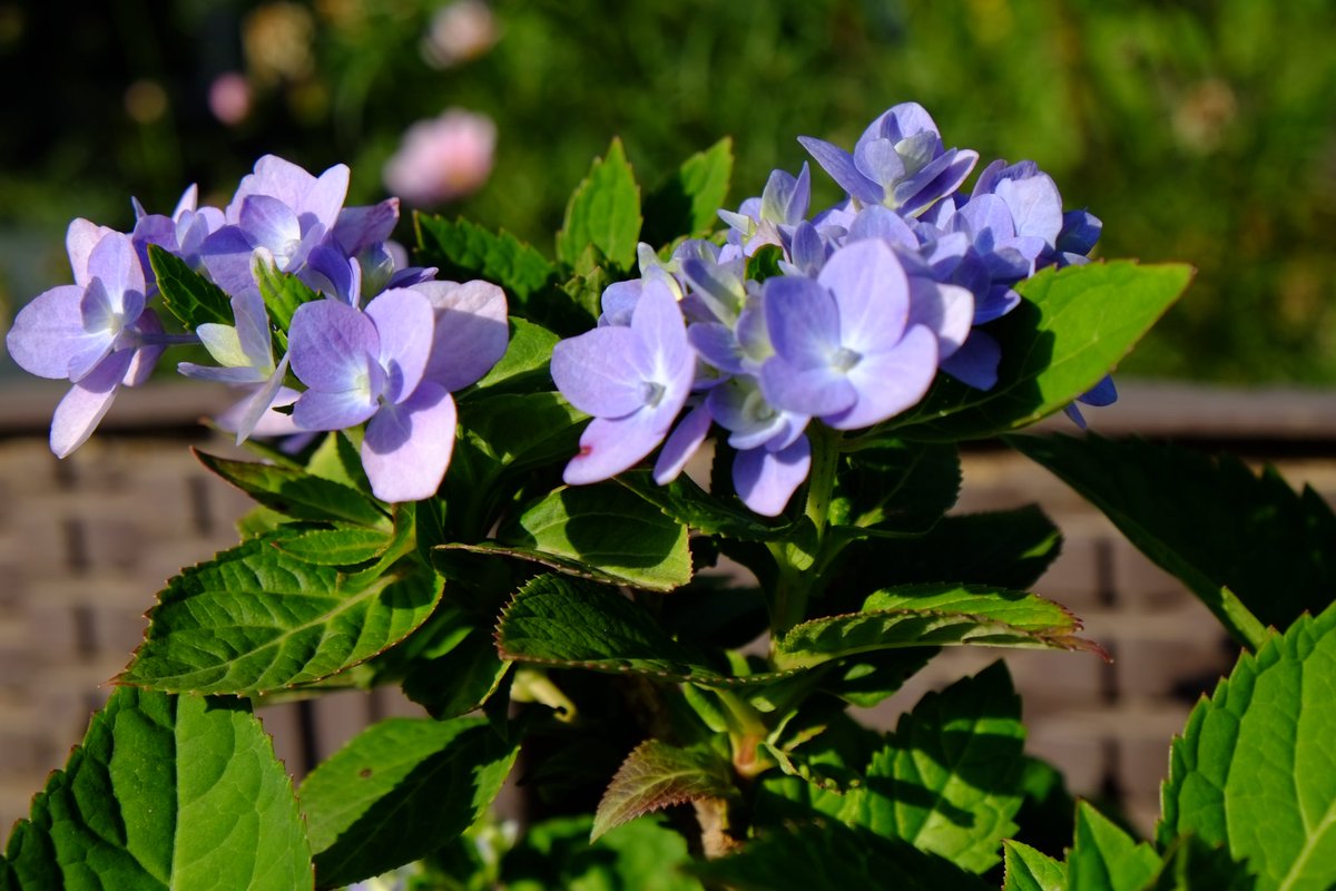 dyson (@superstringsdys) on Twitter photo 