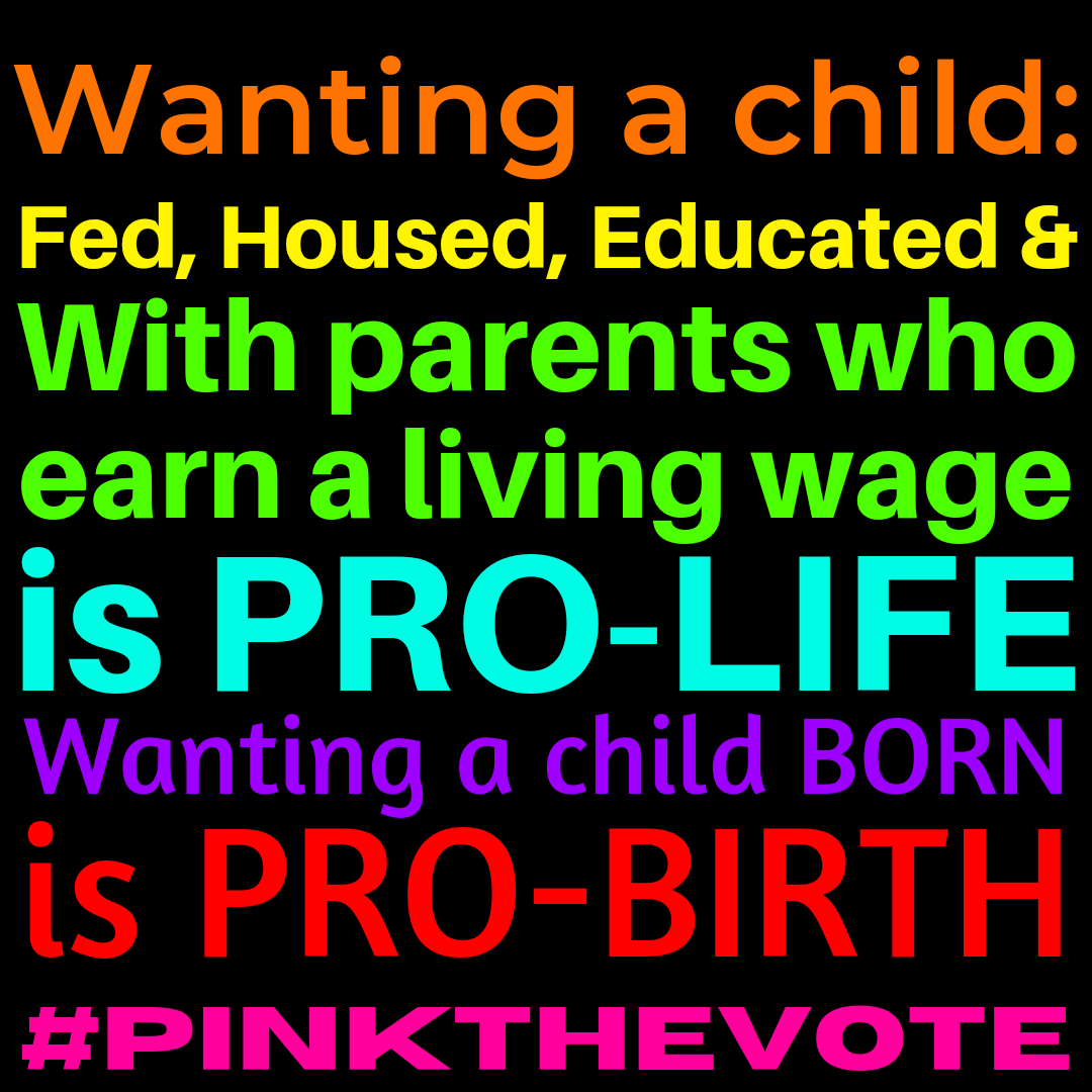 Heidi_Maed_It's tweet photo. And a couple I personally made #PinkTheVote https://t.co/Fi0RUdocYY