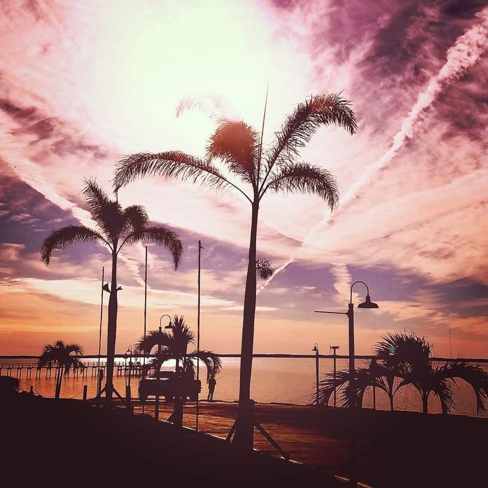 ScottHallaaa's tweet image. .@ShadesBetween  We are listed on @exchgART ! 

all photos are 1 of 11 and .33 sol! 
exchange.art/shadesinbetwee…