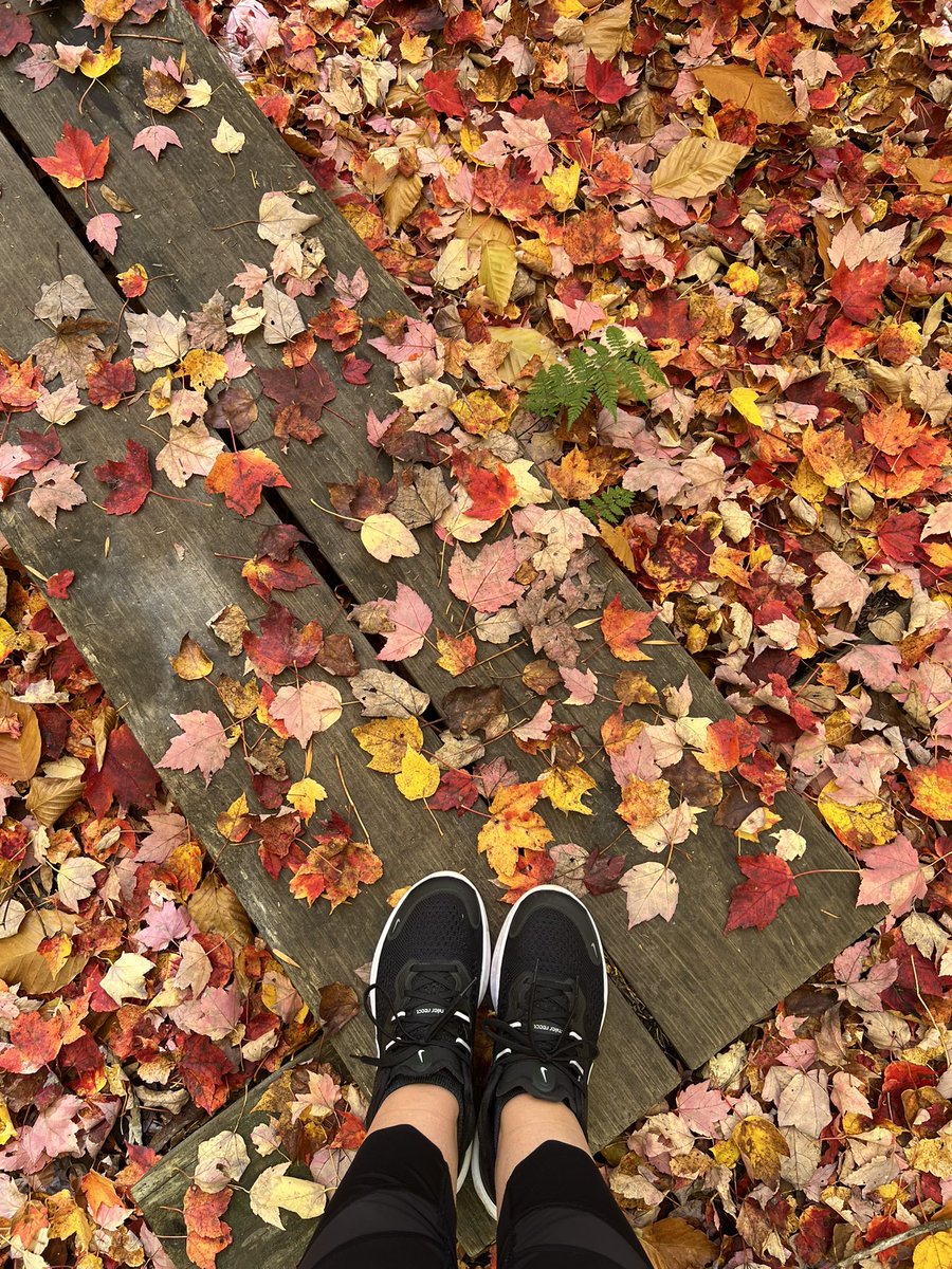 Gleesonmg214's tweet image. #FallAF 🍁🧡