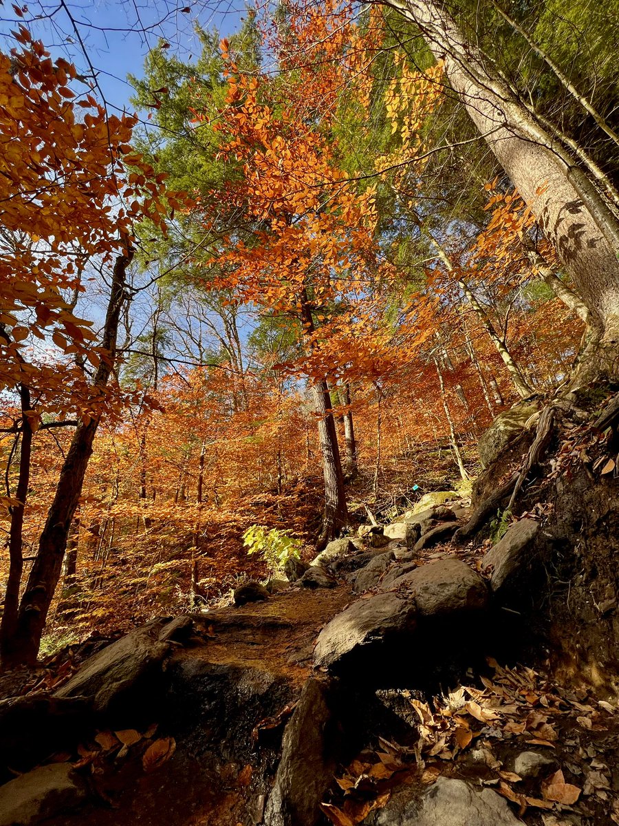 Gleesonmg214's tweet image. #FallAF 🍁🧡