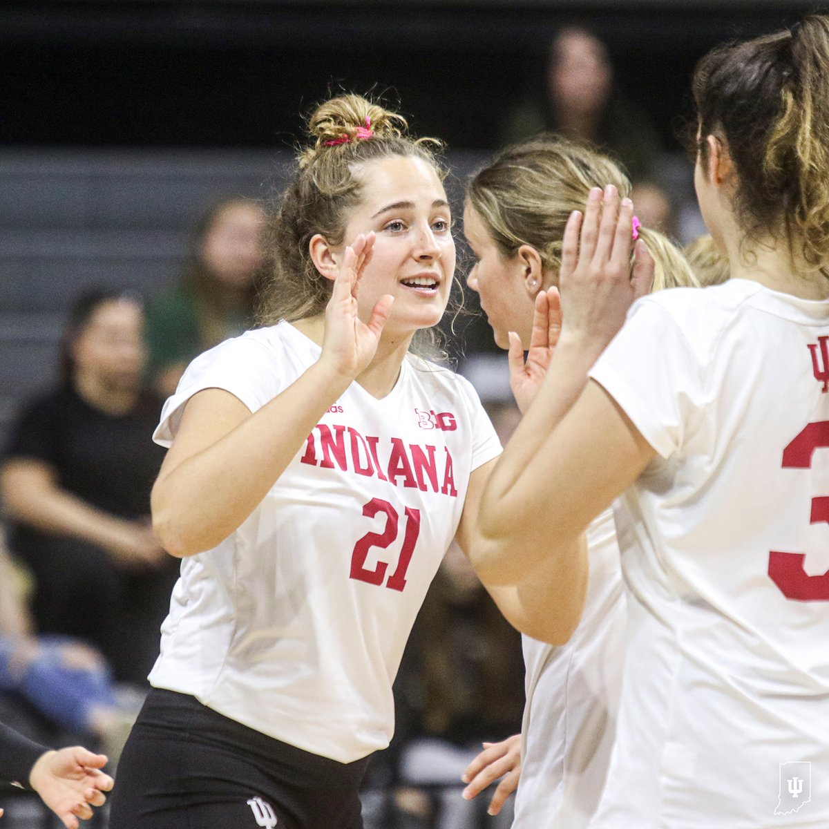 First IUVB team to win at Michigan and MSU in the same season since 1989!

Need everyone's support this Friday at 7:00 PM in Wilkinson Hall against Rutgers!
