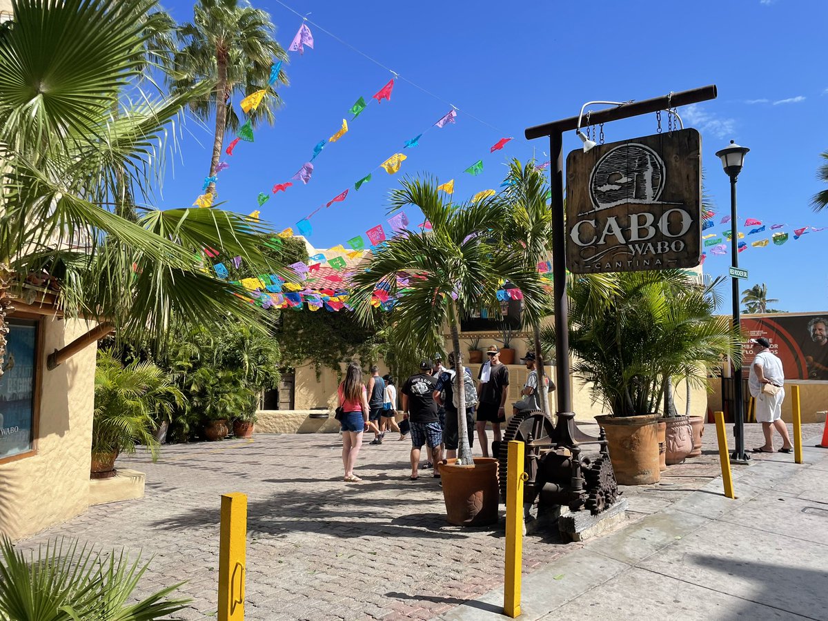 There are only three reasons I'd  Uber 45 minutes to Cabo San Lucas 
 
1.Strippers who do stuff they aren't supposed to do in Vegas 
2.Mediocre beach marijuana,
     3. Supporting <a href="/sammyhagar/">Sammy Hagar</a> who always supported me

I choose 
@CaboWabocantina #Loyalty #Music #RedRocker