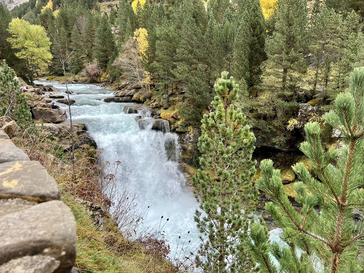 Lucio de la Cruz Pérez tweet media