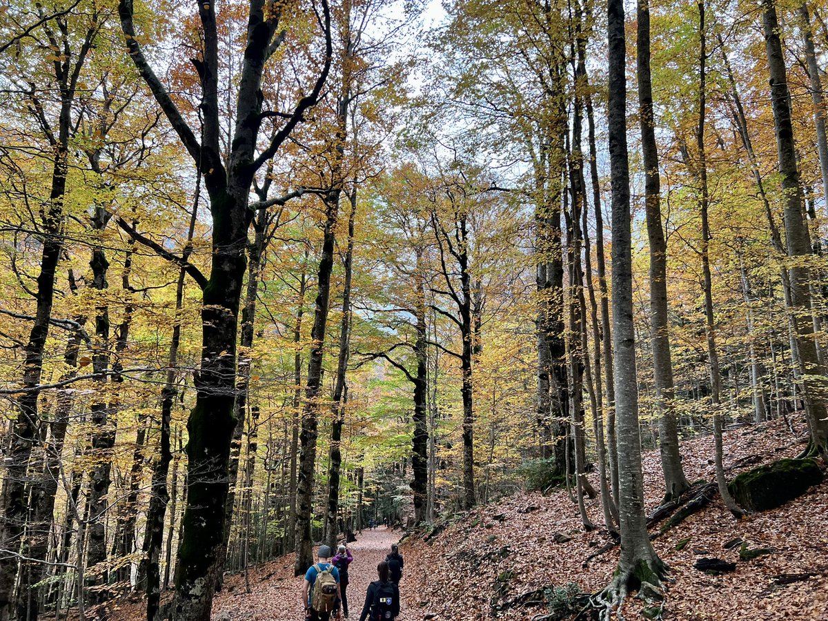 Lucio de la Cruz Pérez tweet media