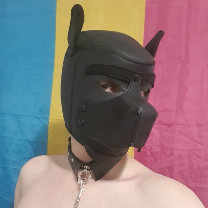 #NouvellePhotoDeProfil
#NewProfilePicture https://t.co/0z2AunvC2S