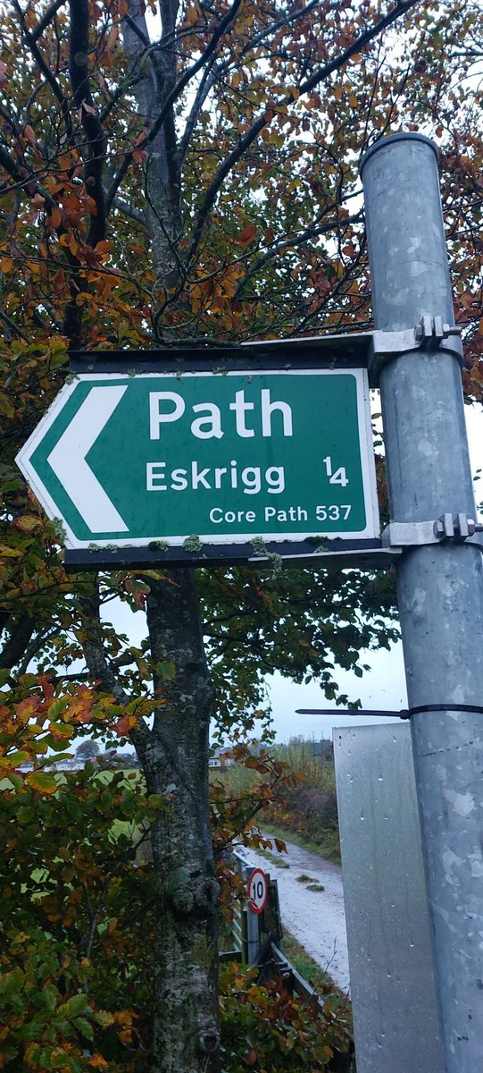 FindTime4Xrcise's tweet photo. Exercise Streak Day 3,500.
A soggy walk around Eskrigg Nature Reserve near Lockerbie.
Getting out on wet days llike this is what an #ExerciseStreak is all about.
#5kEveryDay
#5kEveryDayChallenge
#ExerciseBenefits
#FindTimeForExercise
#ExerciseBook https://t.co/k5n8BDtr1Y