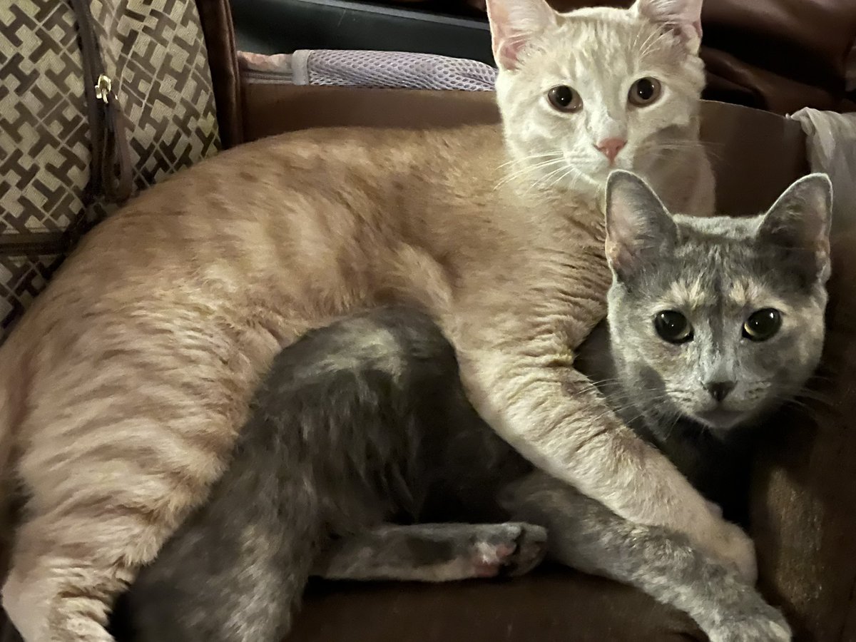 ladyfreya88's tweet photo. Just a momma and her son :) https://t.co/claSBbAVAK