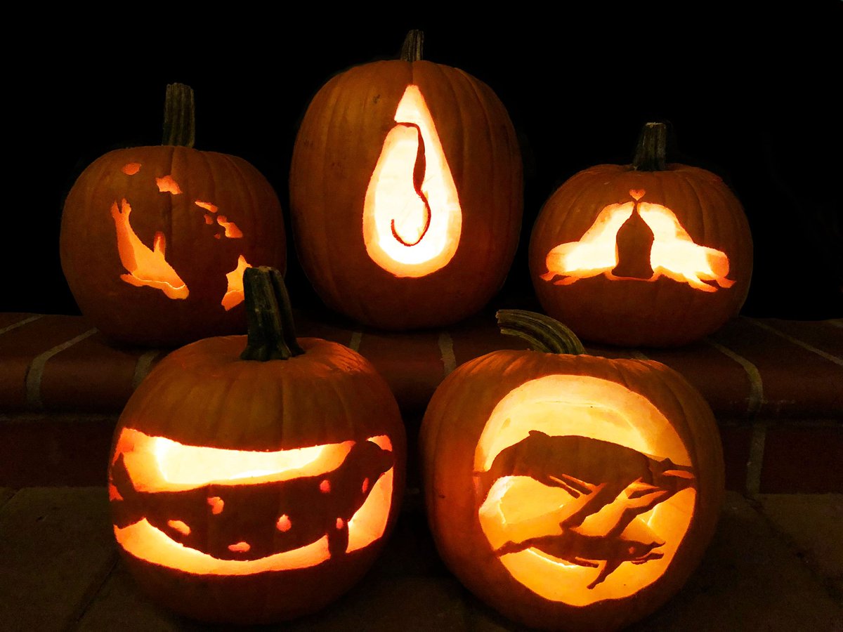 If you're #PumpkinCarving this weekend, download our #MarineMammal themed #PumpkinStencils to ensure your 🎃 is the whaley best 🐋🐋 Check out all eight designs at bit.ly/3ubPHN2.