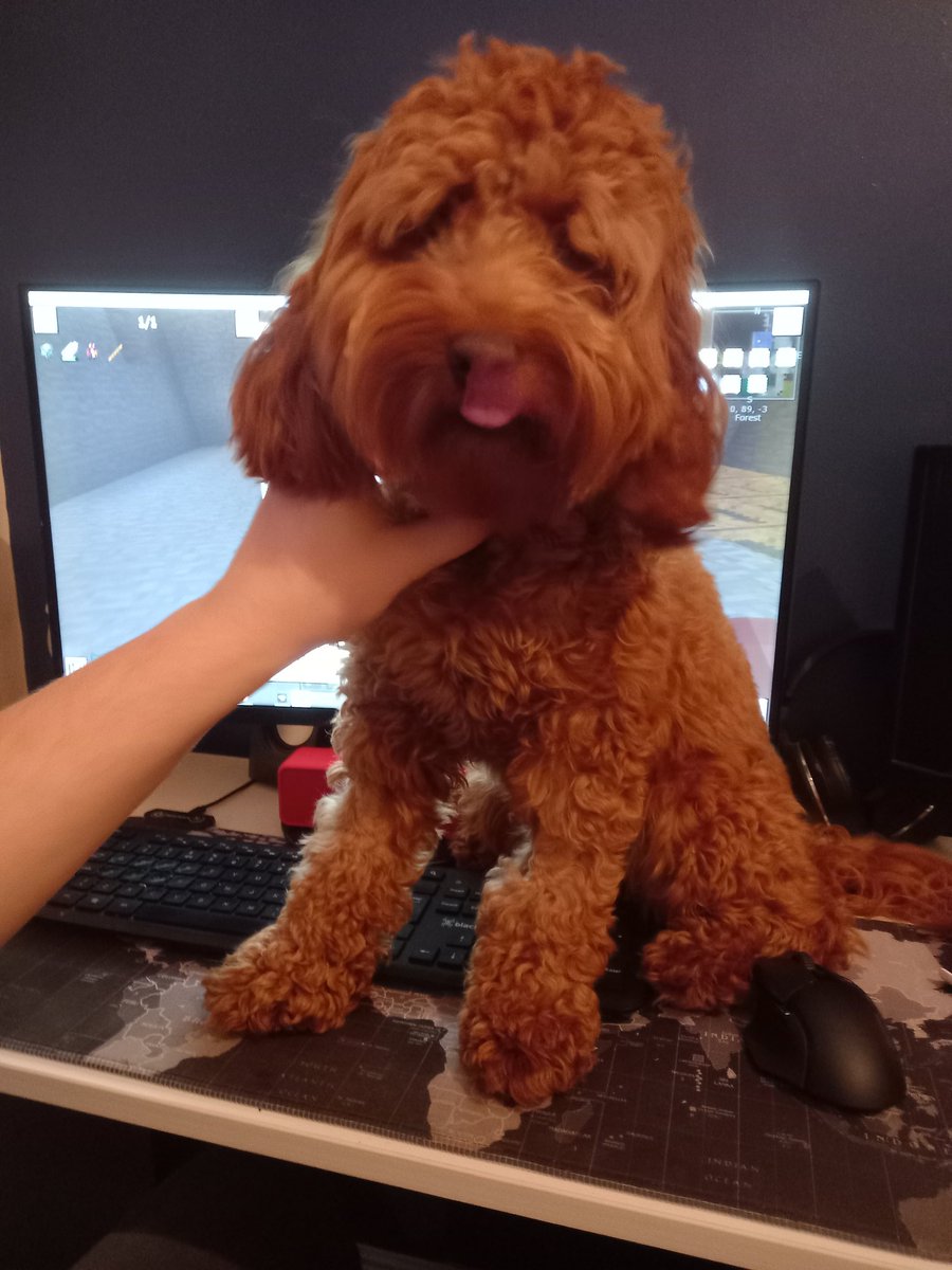 Do you think she wants attention