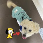 ?美保ᴶᴷらるな?ྀི仕事きつい為平日低浮上のツイート画像