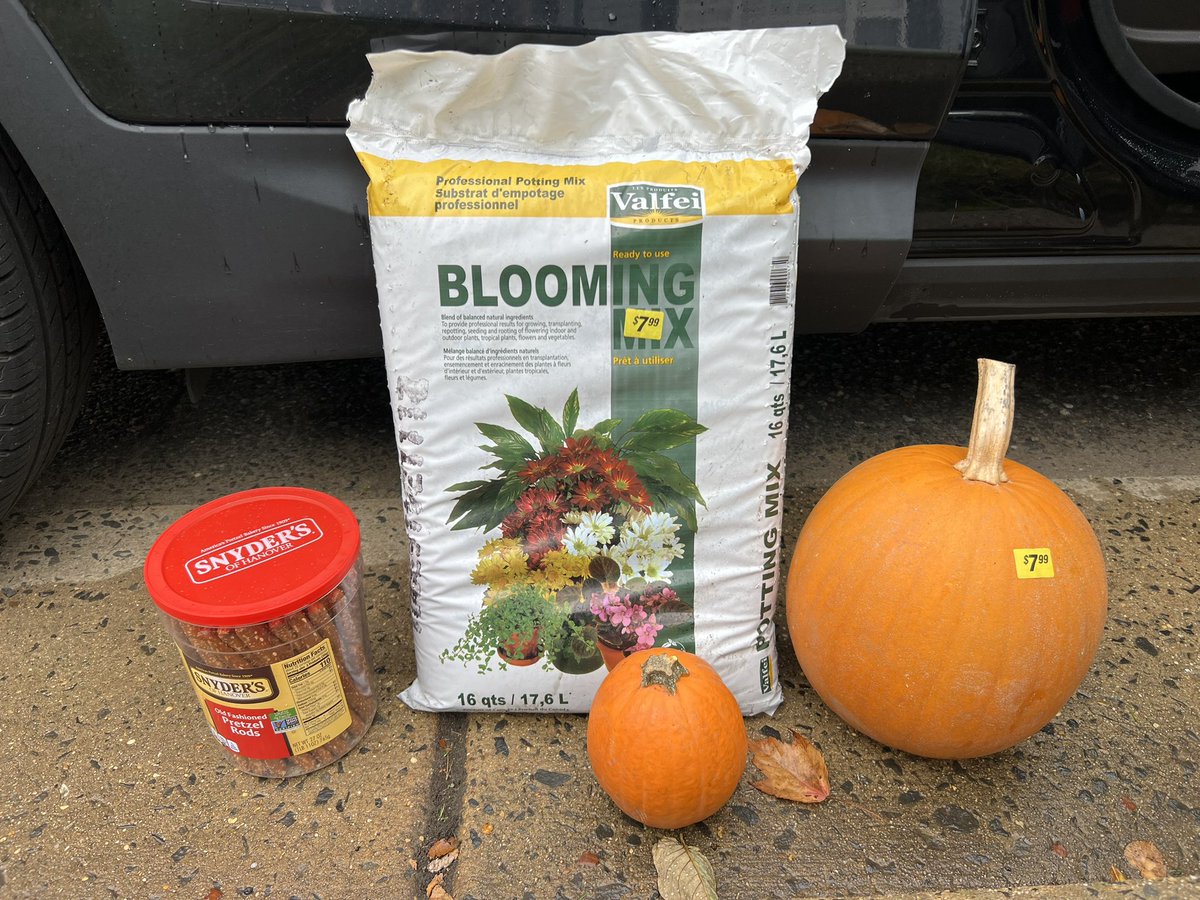 Katie Lewandowski tweet media