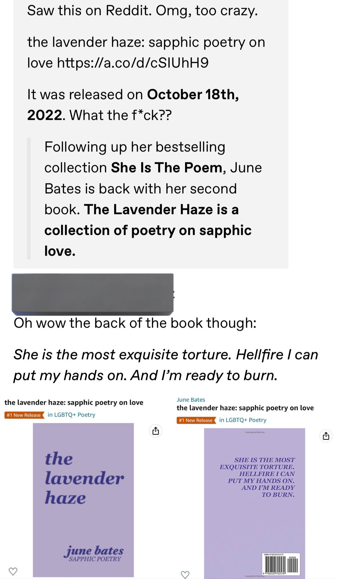 the lavender haze: sapphic poetry on love: Bates, June: 9798358792579:  : Books