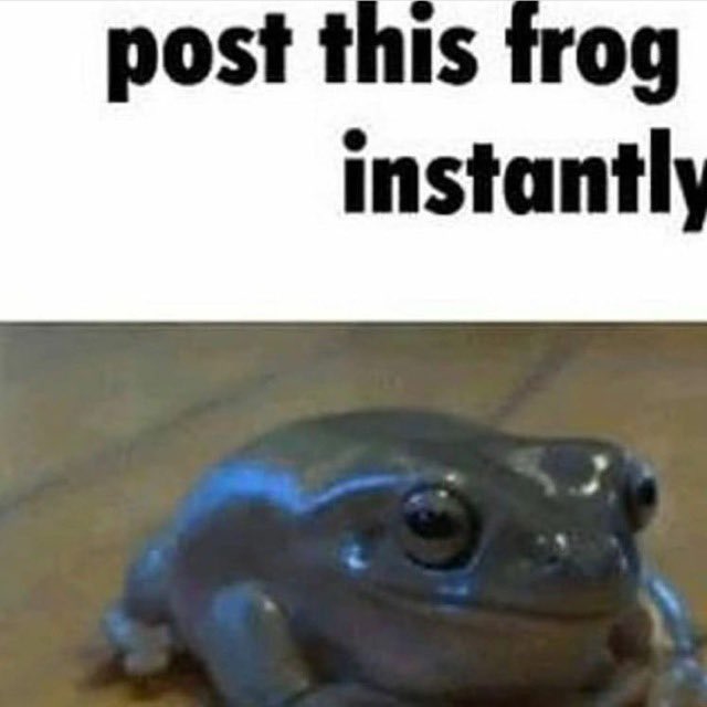 <a href="/ribbitsnft/">ribbits 🐸 🫧</a> instant frog
