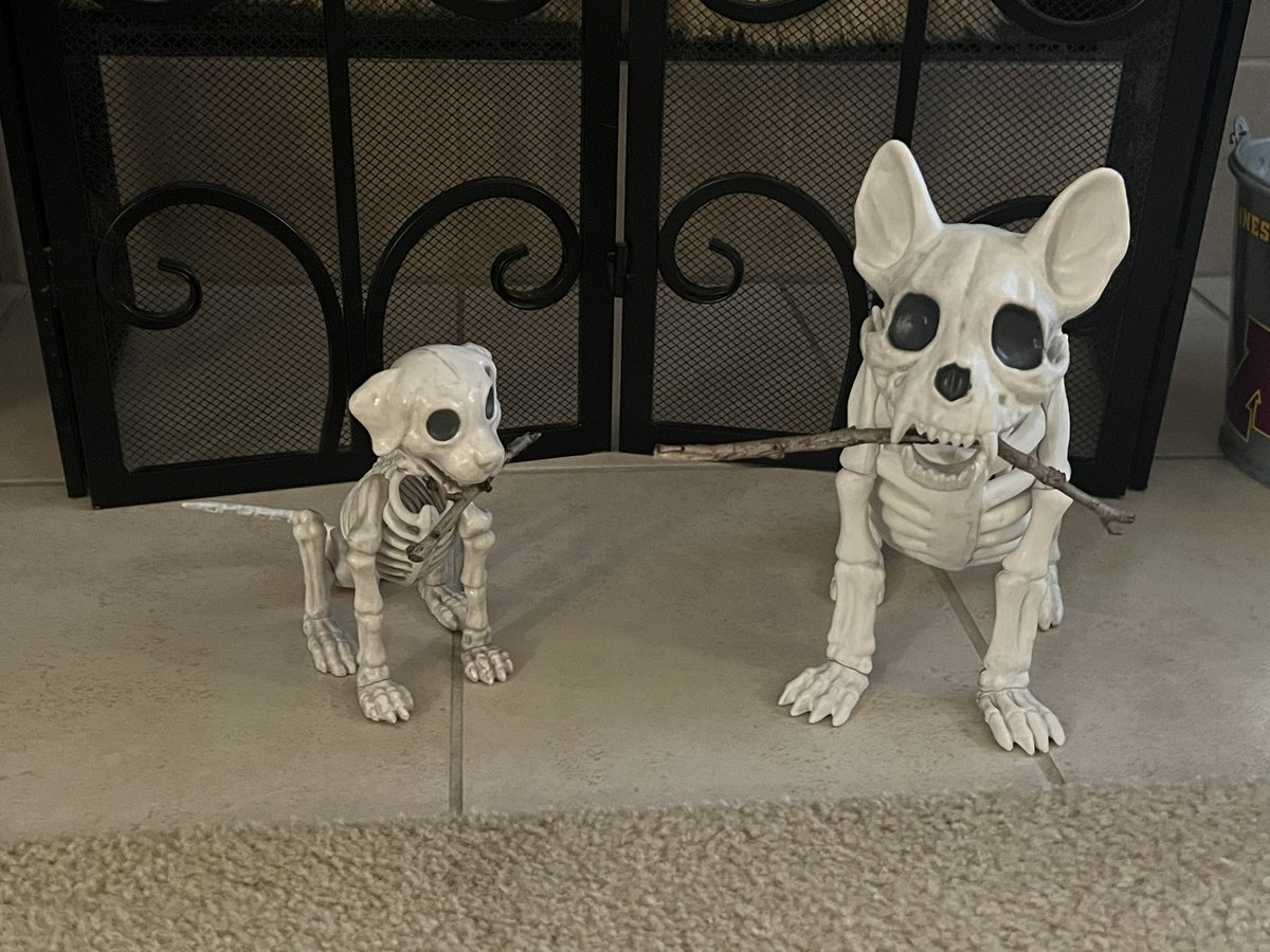 Ready for #Halloween