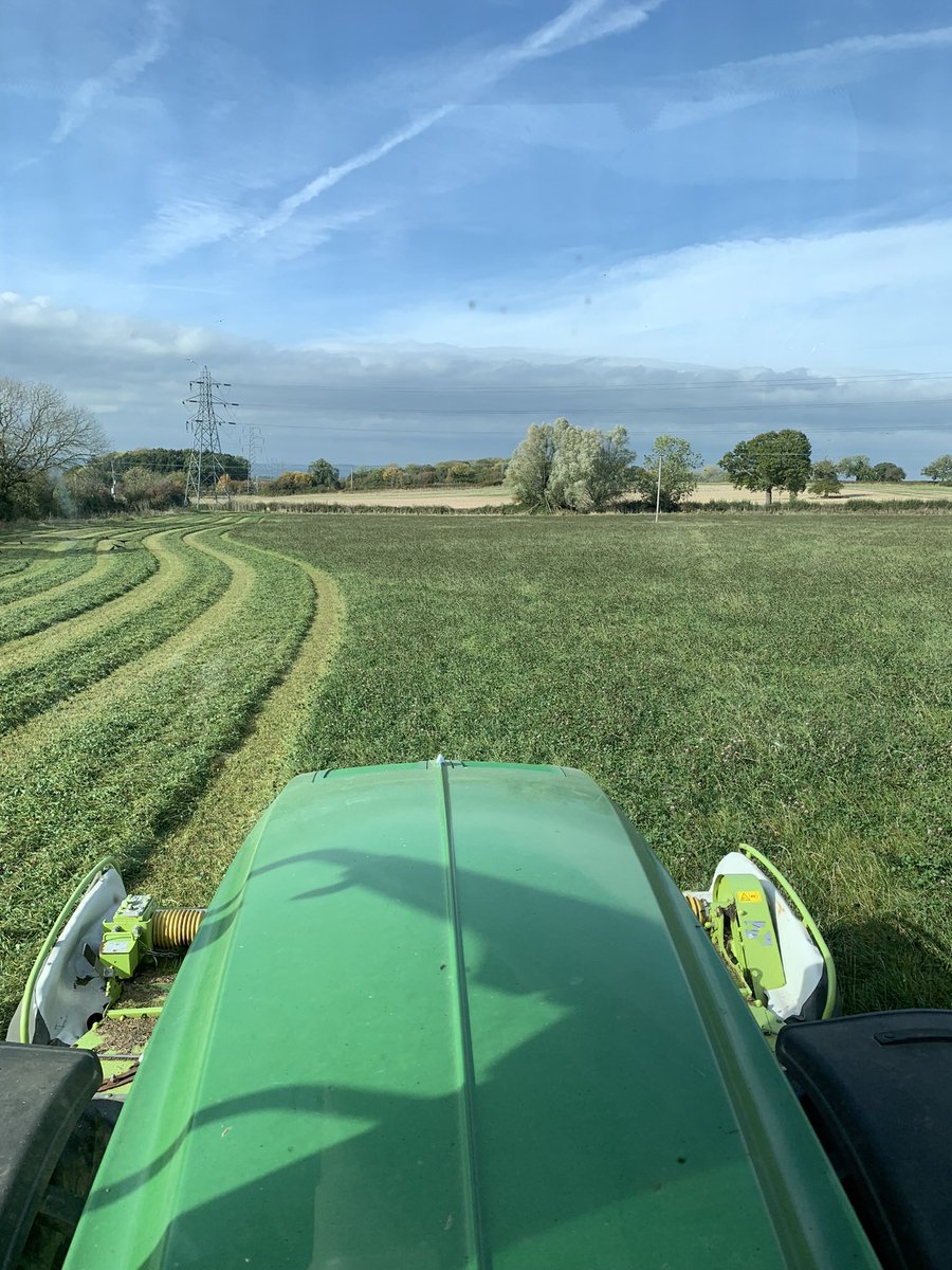 Maximus Pullin tweet media