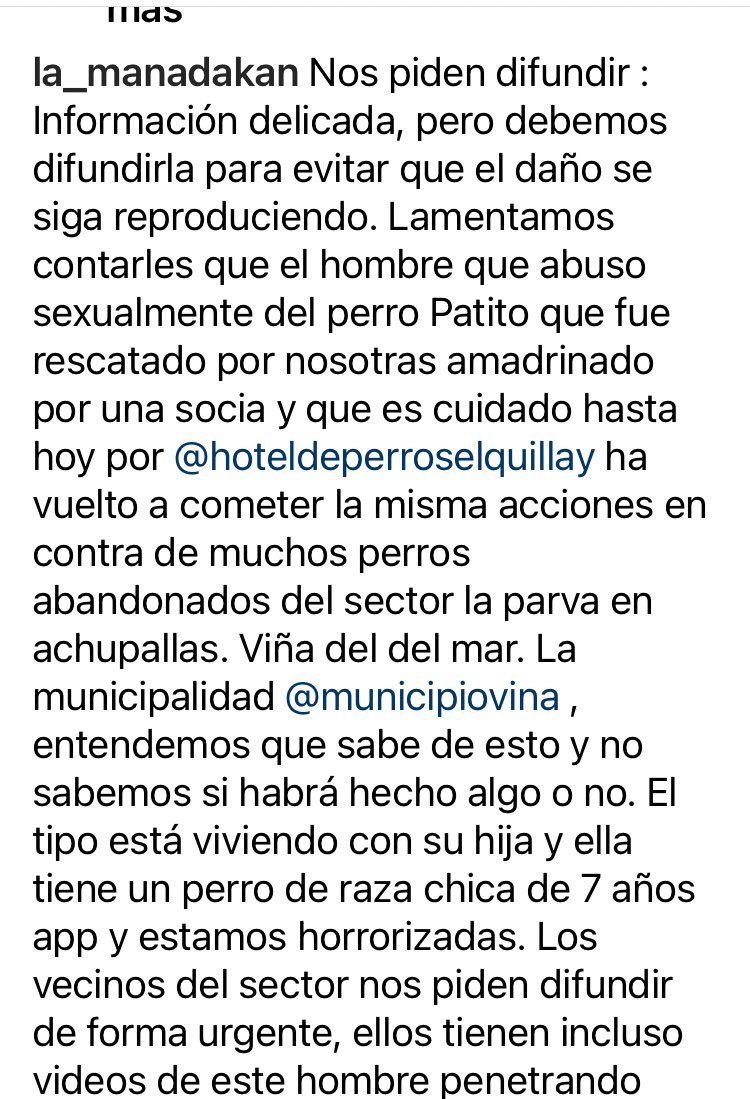 BlanquitaMontt's tweet photo. Hace un tiempo @manadakan pudo rescatar a Patito del abuso sexual cometido por un sujeto en el sector La Parva en #viñadelmar. Incluso hubo querella, hoy el mismo hombre en el mismo sector está violando a perros sin hogar, @MacaRipa se supone que sabe lo que sucede. HAGA ALGO! RT https://t.co/XWPCv9btCV