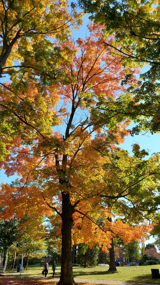 My Autumn-lover heart is excited that I still have more colorful days to enjoy.