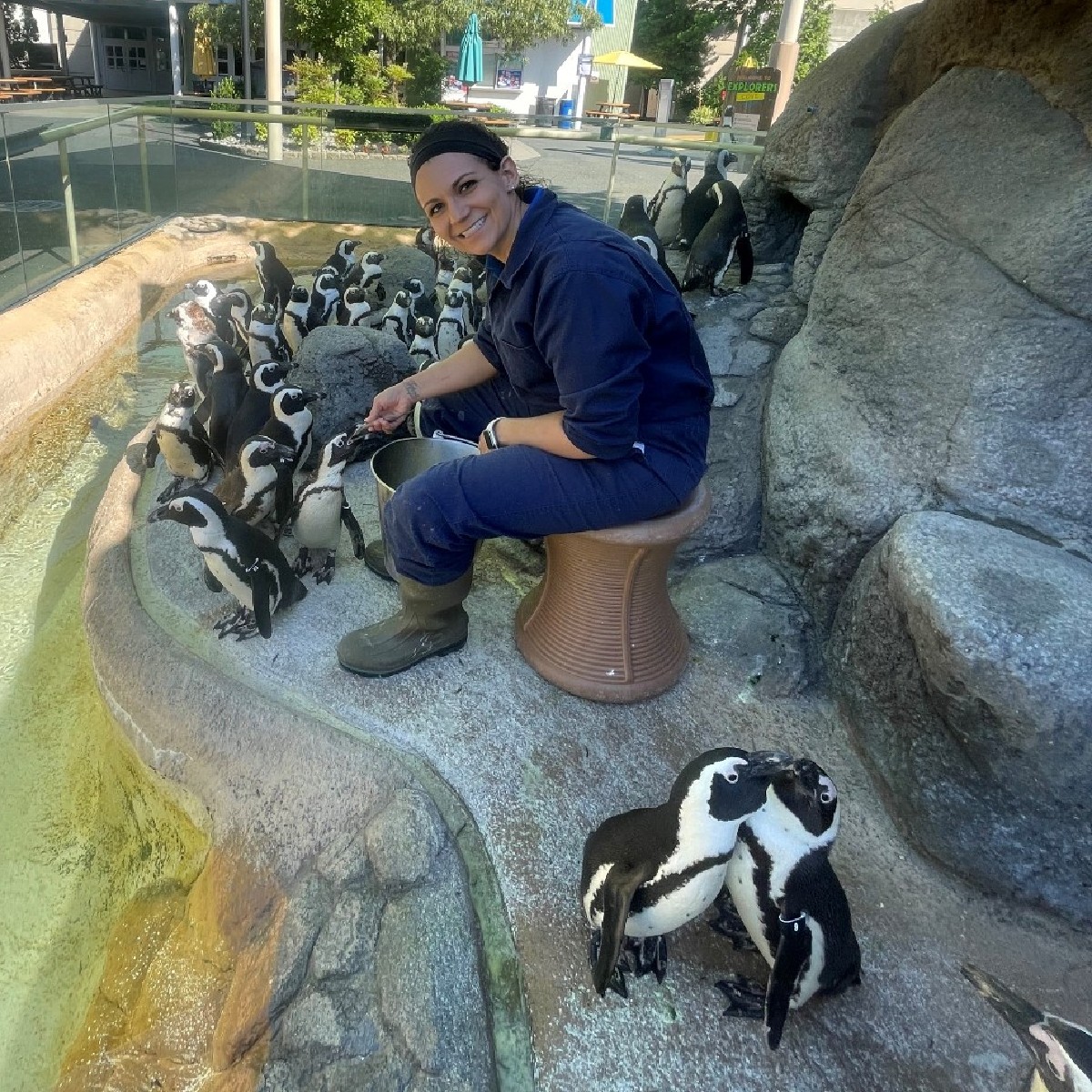 AdventureAqua's tweet photo. From caring for over 15,000 animals to penguin feeds, cleaning exhibits and more, Nicolette is truly one-of-a-kind! 🐧🦈🐢🐙

As #VetTechAppreciationWeek comes to a close please leave a kind comment to thank Nicolette for all the incredible work she does! https://t.co/nh2eJh7GKm