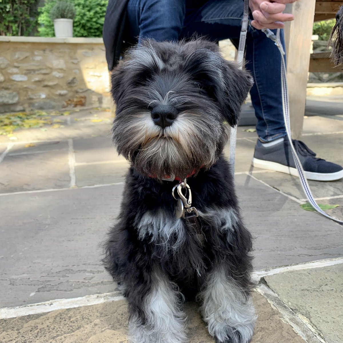 Hello everyone! My name is Judy.