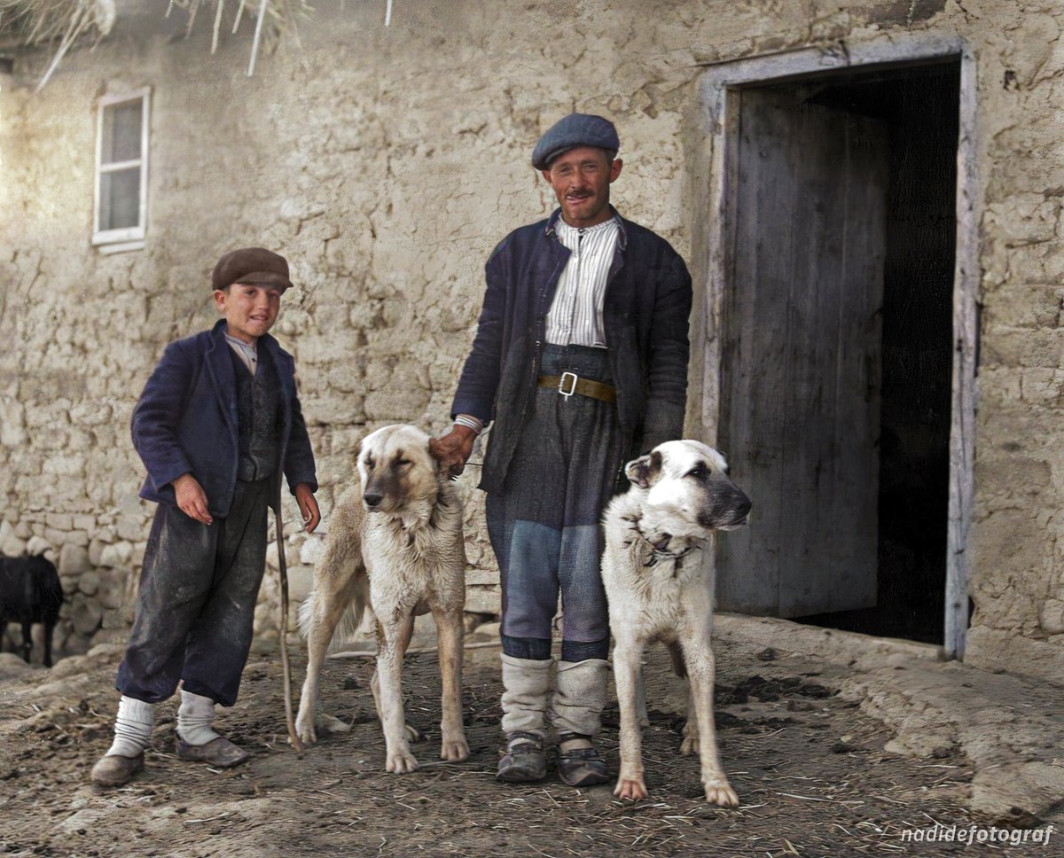 Anadolu'da çoban köpekleri ile poz veren bir köylü ve oğlu