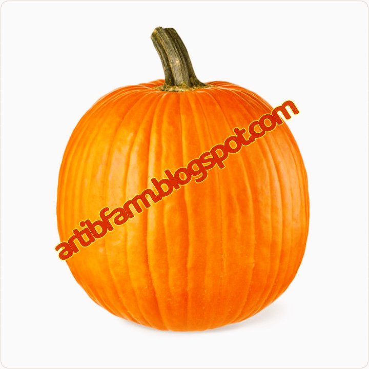 artibfarmNG's tweet photo. The pumpkin or cucumber seeds are capable of controlling worms when ground and a teaspoon is mixed with 5 litres of drinking water.
...we materialize your satisfaction!
π£π₯ππππβ
#artibfarm #BroilerFarm #PoultryProducts #PoultryFarming #PoultryConsultant #ArtibGraphix https://t.co/uRvJxsLJac