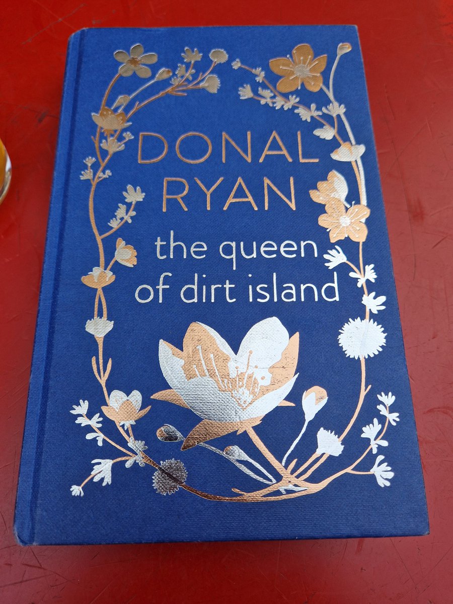 The Queen of Dirt Island by Donal Ryan The Queen of Dirt Island by Donal Ryan