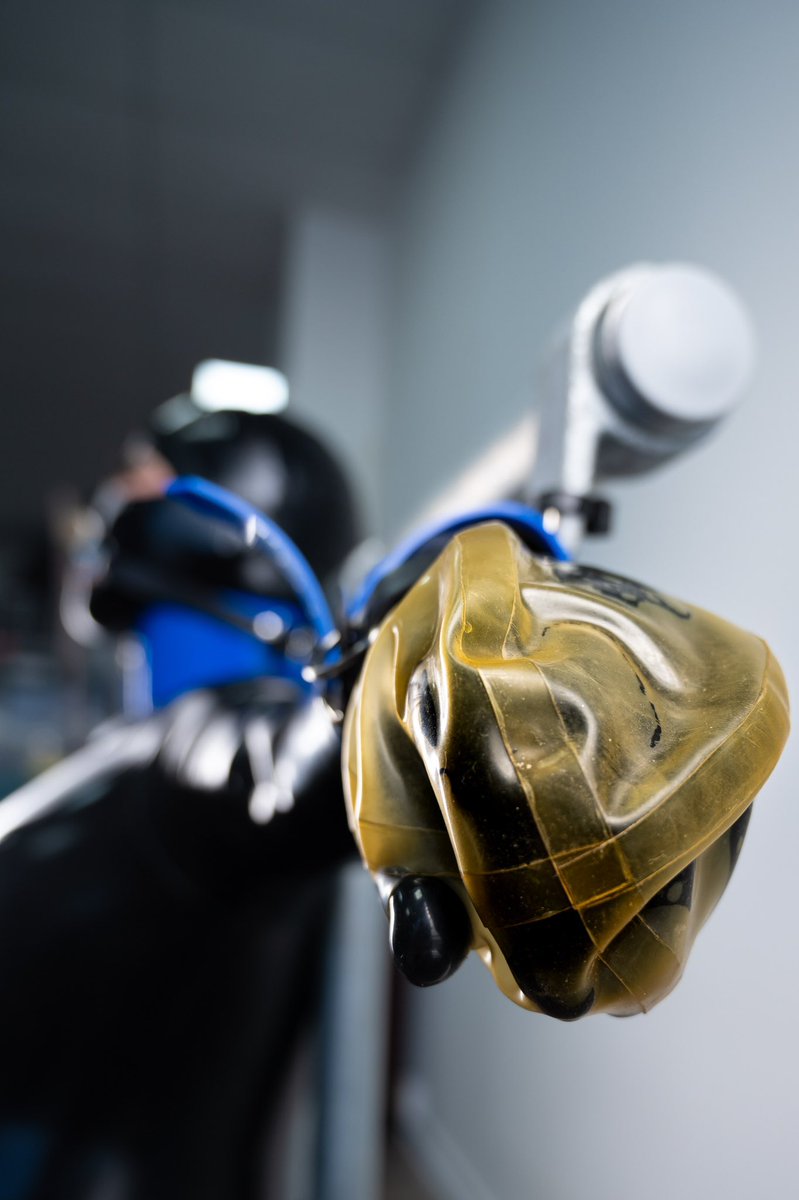 AngelRubber's tweet photo. Another from the bondage chair #bondage #bondagechair #latex #latexlover #latexlady #latexmit #latexlove https://t.co/mckAIxhjYT