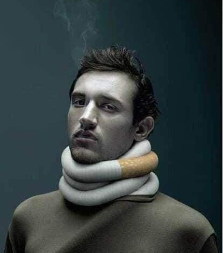 Bebo (@bebo16491193) on Twitter photo 