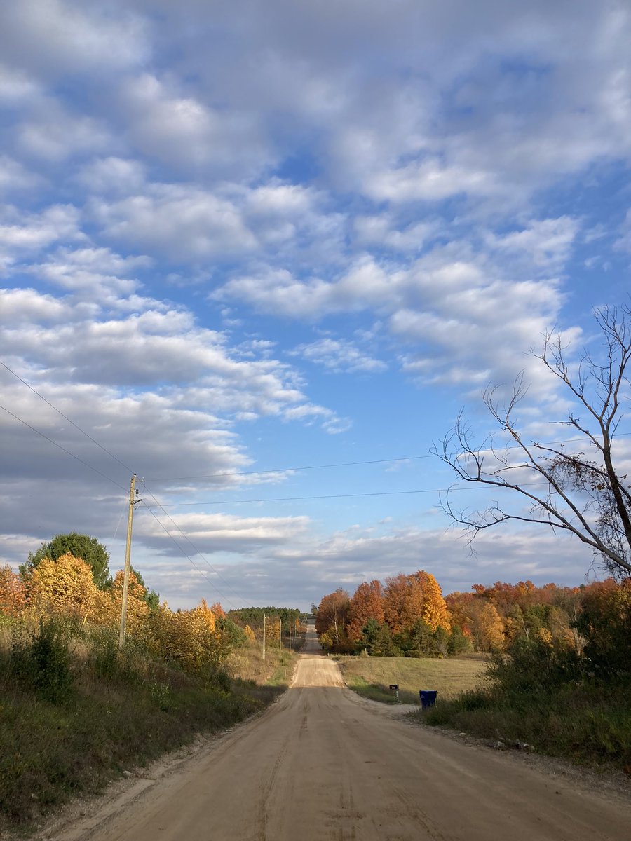 BetsyCoffia's tweet photo. Evening shift knocking doors in Acme Township 🍁 it’s gorgeous out here, reminds me so much of the wide open fields and woods I spent running wild in as a rural northern Michigan kid. 16 days. #ruralDem #NewDealDem #VoteBlueForDemocracy https://t.co/ATo0MV1eh6