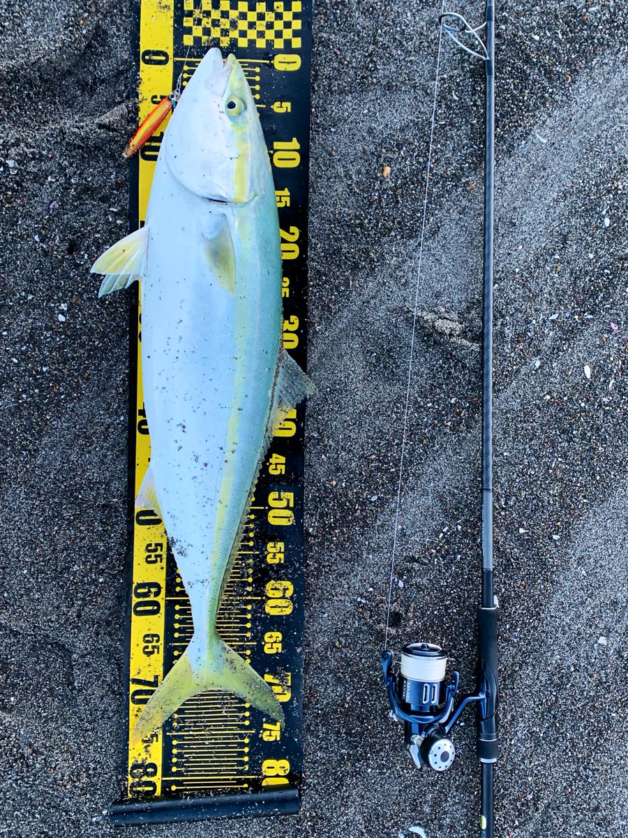 tsuka_angler's tweet photo. やっとの今年初青物 https://t.co/HGKRh78gh0