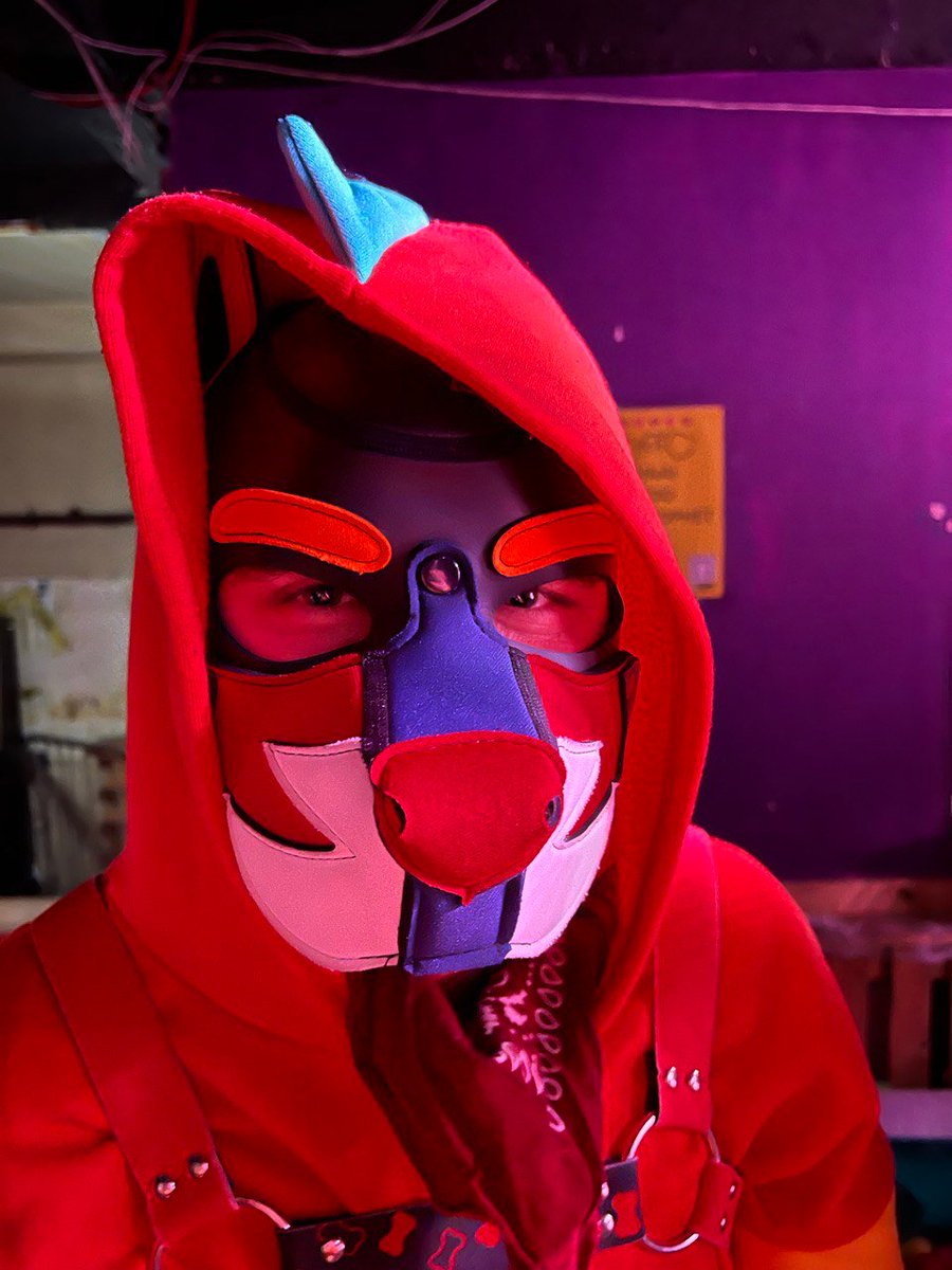 pup_archie's tweet photo. Had an amazing night at @Howl_Newcastle this weekend with @The_Happy_Pup and @calvin_pup.
Somehow managed to steal Happy's hood and frankensteined Calvin's muzzle on the front. Definitely not getting ideas for my own custom hood ๐ถ
#pupplay #puptwitter #puppykink https://t.co/jYpVYMexoq