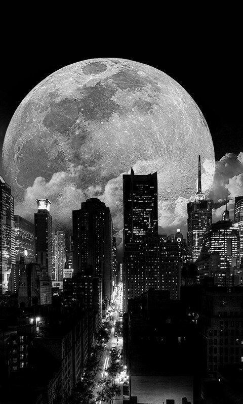 ꧁♦️𝙒𝙖𝙠𝙖𝙣𝙙𝙖 𝙁𝙤𝙧𝙚𝙫𝙚𝙧♦️꧂ (@misterr_7) on Twitter photo 👑#TeamKingFollow
🐾#TM_RUBY
💥IFB- GT
@ruby2015xo
@TheWitcherSdv
<a href="/MarEthr/">👉 Mark 28K 😜👇</a>
<a href="/glenton123/">Mark Glenton/ Mindfrontiers🤵🧐</a>
<a href="/TlayAnl1903/">TüL🅰️y</a>
<a href="/Namiye14/">❤ ꧂ ❤𝒩𝒶𝓂𝒾𝓎𝑒 ❤꧂ ❤</a>
@marticaaduarte
<a href="/TuVillanoFV/">🃏 LUIS 🃏</a>
<a href="/IfbSdv/">#FriendsFollowers</a>
@Anitta_Ni
<a href="/swydersk/">Deb #TmPetaL🌹#Resist💙 #NeverTrump Enjoy the ride</a>
<a href="/rocio1842/">Rocio</a>
@OmarOma64360171
<a href="/EVANDR0CAMP0S/">Evandro Campos</a>
<a href="/Spencerjames211/">Spencer James #GAINWITHPETAL #TMPETAL #Teamspirit</a>
@GRAHAM15583070
<a href="/kn_jui/">Bakht Zada🇵🇰f💯</a>
@jhonkano026117
<a href="/luizcosta76/">LUIZ COSTA 😷🏠🙏🏾🥼💊💉🏨</a> 👑#TeamKingFollow
🐾#TM_RUBY
💥IFB- GT
@ruby2015xo
@TheWitcherSdv
<a href="/MarEthr/">👉 Mark 28K 😜👇</a>
<a href="/glenton123/">Mark Glenton/ Mindfrontiers🤵🧐</a>
<a href="/TlayAnl1903/">TüL🅰️y</a>
<a href="/Namiye14/">❤ ꧂ ❤𝒩𝒶𝓂𝒾𝓎𝑒 ❤꧂ ❤</a>
@marticaaduarte
<a href="/TuVillanoFV/">🃏 LUIS 🃏</a>
<a href="/IfbSdv/">#FriendsFollowers</a>
@Anitta_Ni
<a href="/swydersk/">Deb #TmPetaL🌹#Resist💙 #NeverTrump Enjoy the ride</a>
<a href="/rocio1842/">Rocio</a>
@OmarOma64360171
<a href="/EVANDR0CAMP0S/">Evandro Campos</a>
<a href="/Spencerjames211/">Spencer James #GAINWITHPETAL #TMPETAL #Teamspirit</a>
@GRAHAM15583070
<a href="/kn_jui/">Bakht Zada🇵🇰f💯</a>
@jhonkano026117
<a href="/luizcosta76/">LUIZ COSTA 😷🏠🙏🏾🥼💊💉🏨</a>