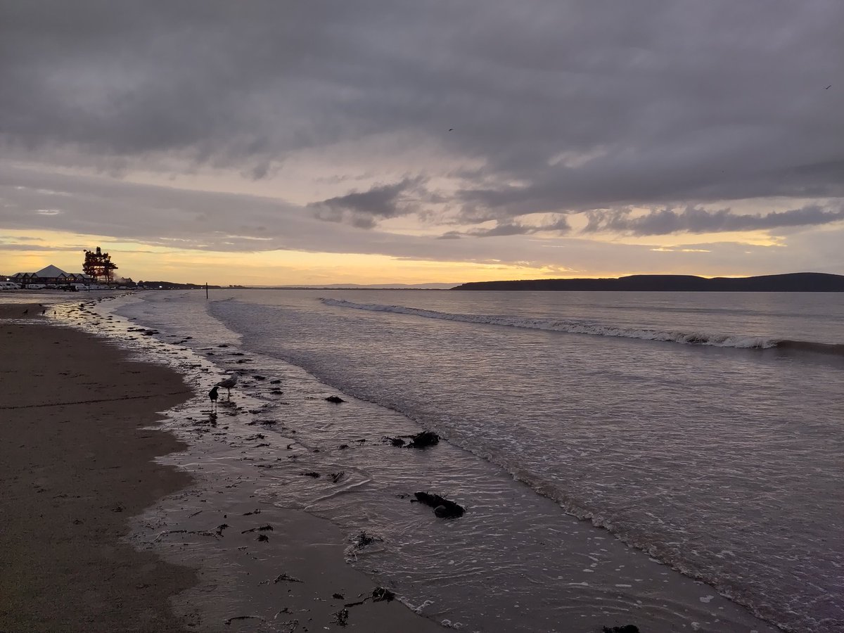 Nice evening swim. Mild, calm and smile inducing.
#wildswim #seaswim
