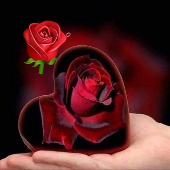 SyDored's tweet image. 