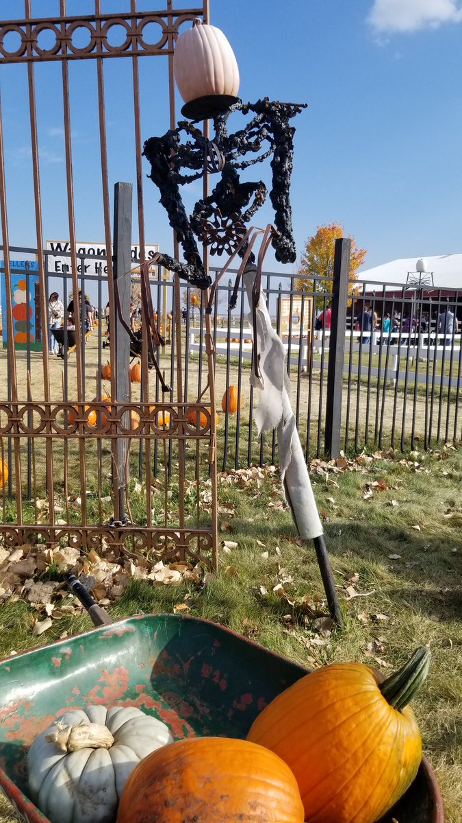 Ryanilbasso's tweet photo. #beautifulfallday out with the family to a nearby farm. ๐๐๐๐
Trivia: did you know Illinois leads the nation in pumpkin production? The next 5 states collectively don't produce as much!
@KellersFarmstan https://t.co/a8C2sBS89x