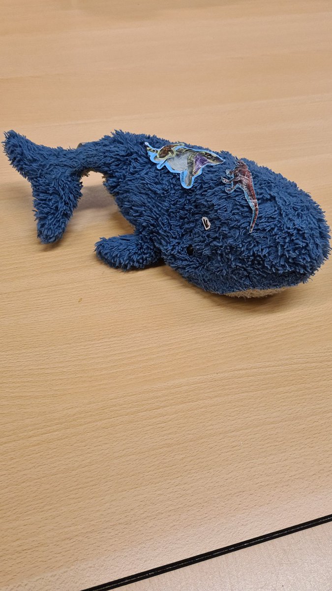 WA_Duindorp's tweet photo. Op de Willem de Zwijgerlaan troffen wij vanavond dit verdwaalde knuffel walvisje aan. Hij wacht op politie bureau Scheveningen op zijn baasje. #verlorenknuffel https://t.co/iEhV2N2j64