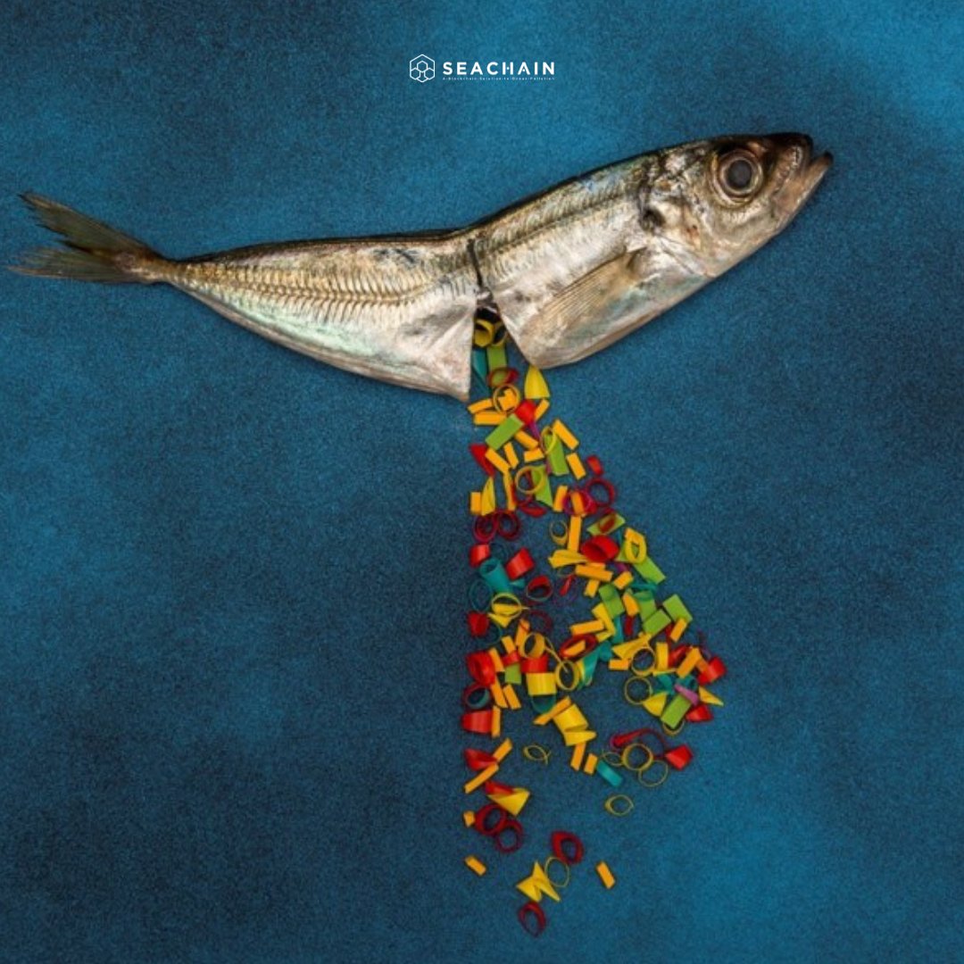 Animals often suffocate on floating garbage and many ingest this waste, mistaking it for food. By ingesting the plastic, the animals suffer false satiety and, with their stomachs stuffed with plastic, they are unable to ingest food particles and die of malnutrition