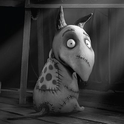 ৎ୭ manden cc tweet media