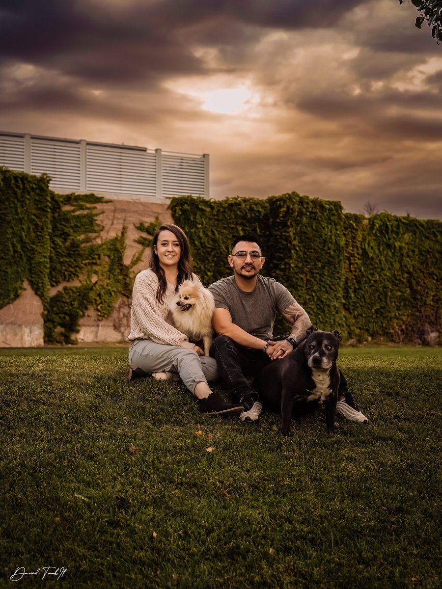 djarment's tweet photo. @xobreex3 Warms tones dramatic backgrounds and moss greens. 📸 https://t.co/hJwwXPawu5